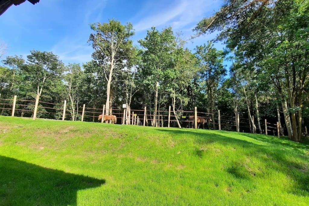 Lomamokki Insolite, Golf A Pieds, Foret Et ! Chalet